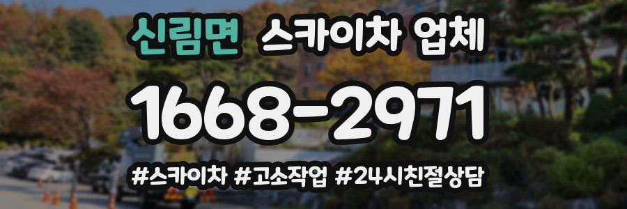 신림면 스카이차 업체