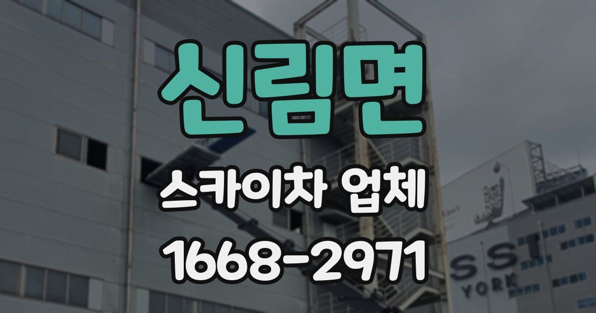 신림면 스카이차 업체