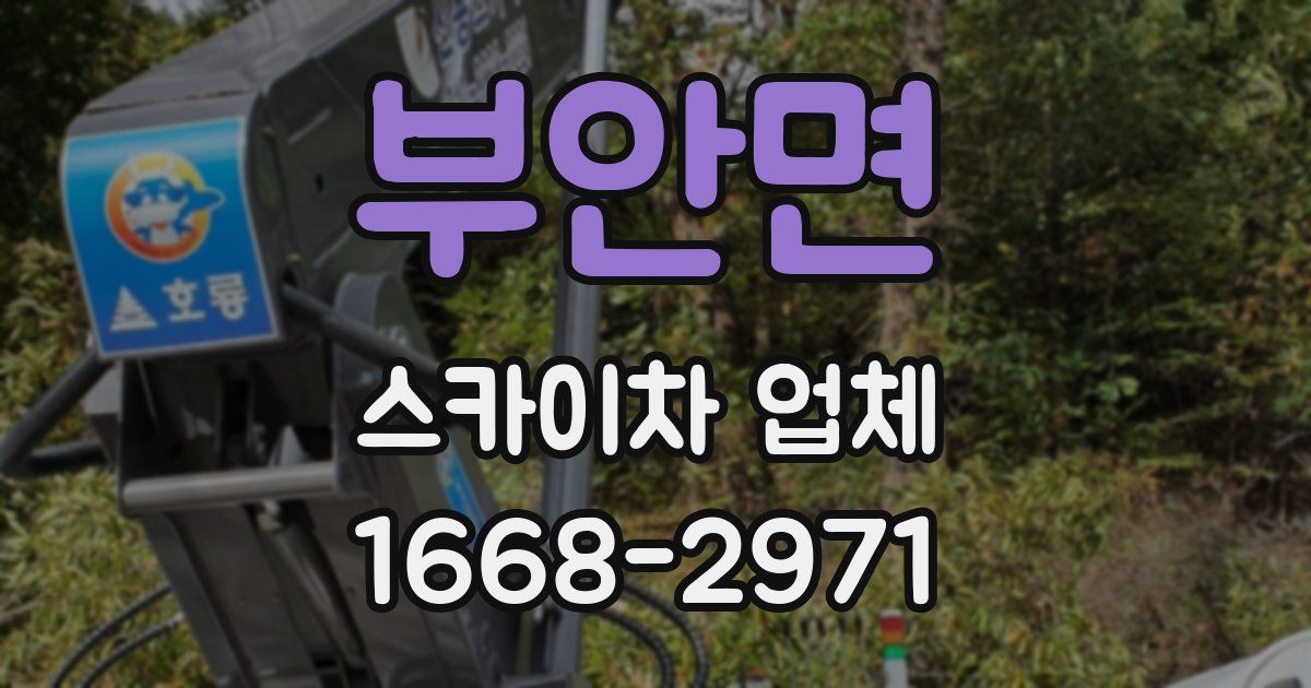 부안면 스카이차 업체