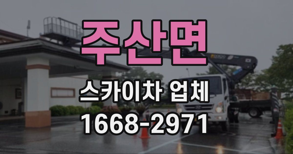 주산면 스카이차 업체