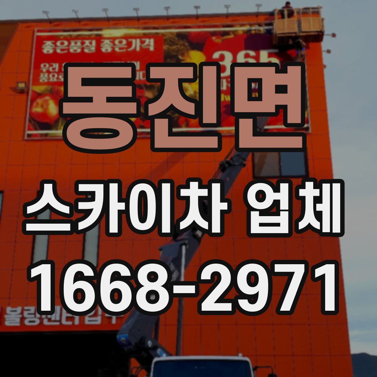동진면 스카이차 업체