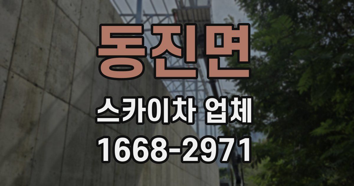 동진면 스카이차 업체