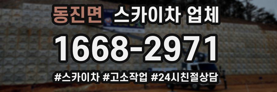 동진면 스카이차 업체
