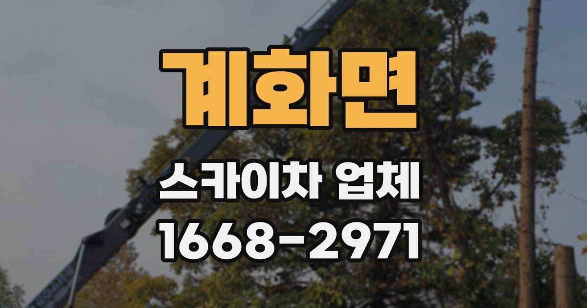 계화면 스카이차 업체