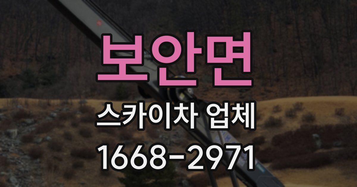 보안면 스카이차 업체
