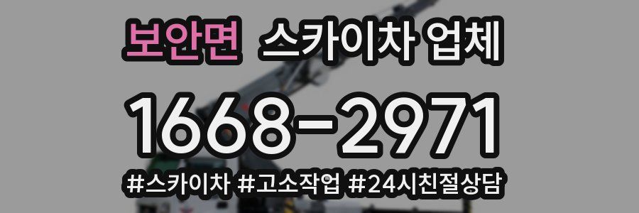 보안면 스카이차 업체