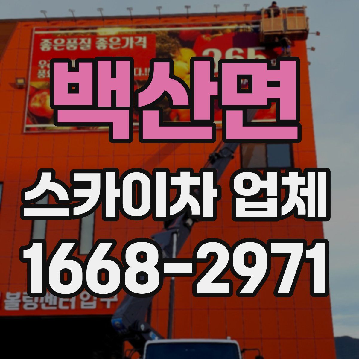 백산면 스카이차 업체