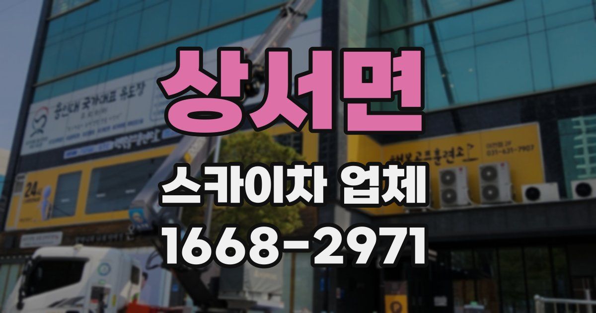 상서면 스카이차 업체