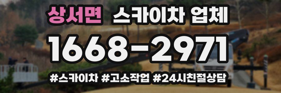 상서면 스카이차 업체