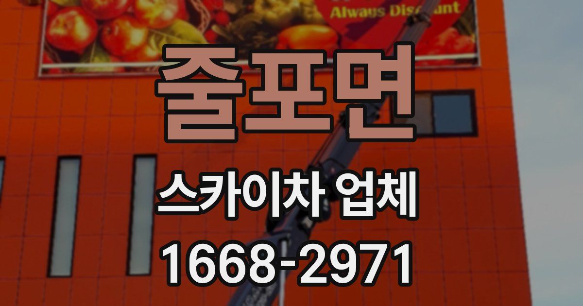 줄포면 스카이차 업체