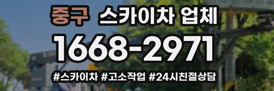 중구 스카이차 업체