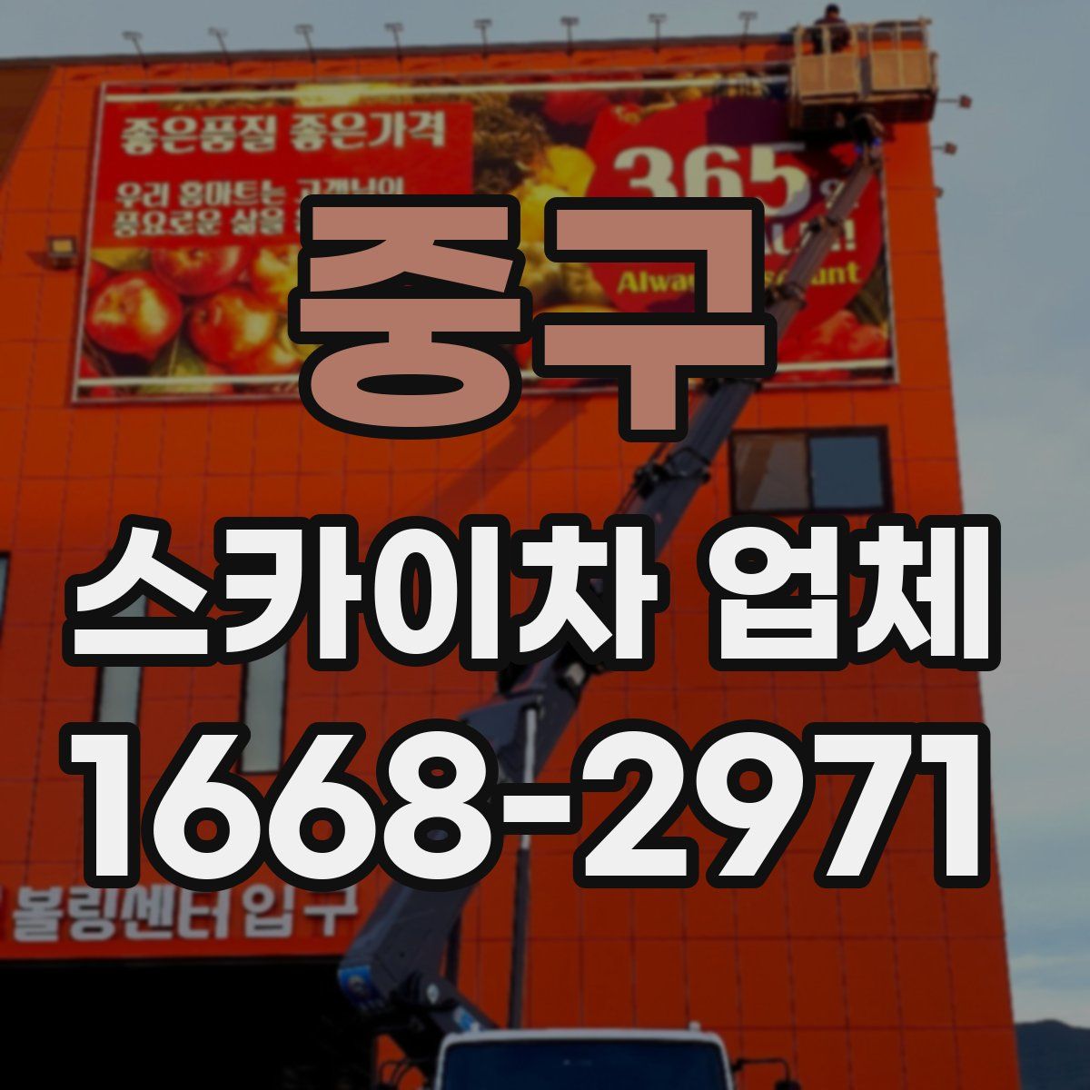 중구 스카이차 업체