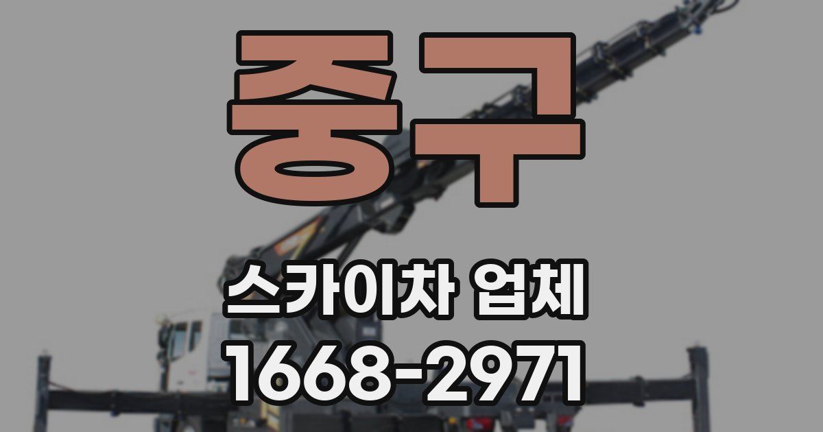 중구 스카이차 업체