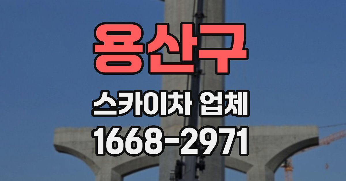 용산구 스카이차 업체