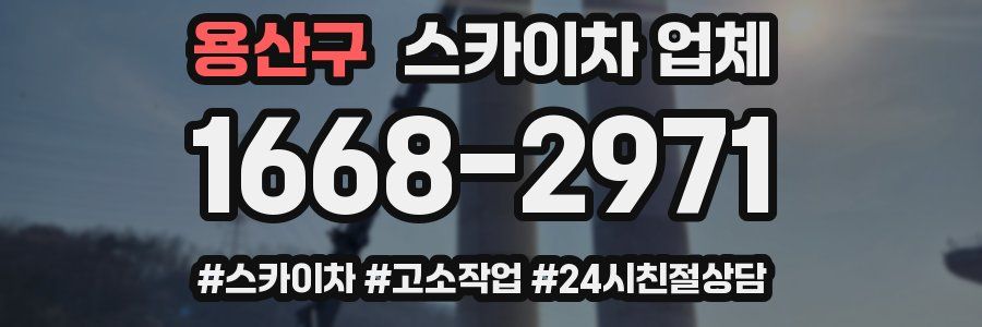 용산구 스카이차 업체