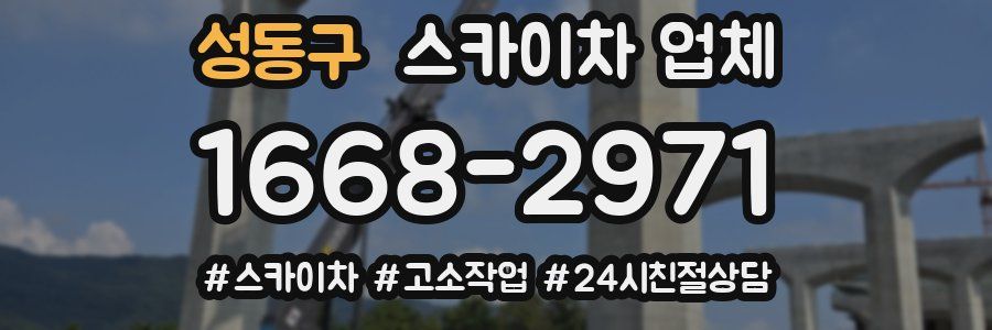 성동구 스카이차 업체