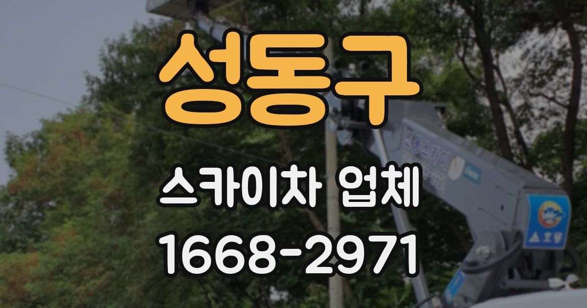 성동구 스카이차 업체