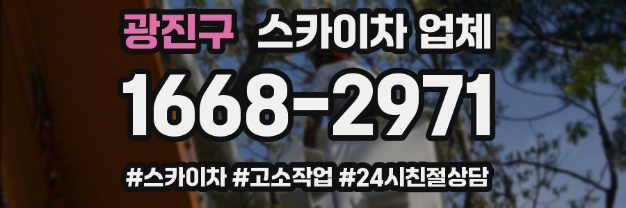 광진구 스카이차 업체