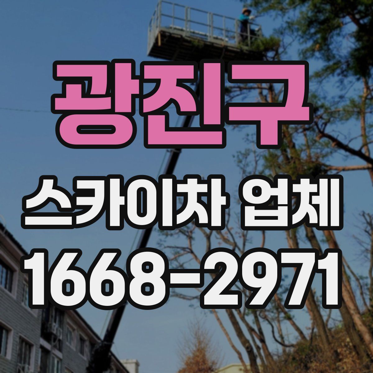 광진구 스카이차 업체