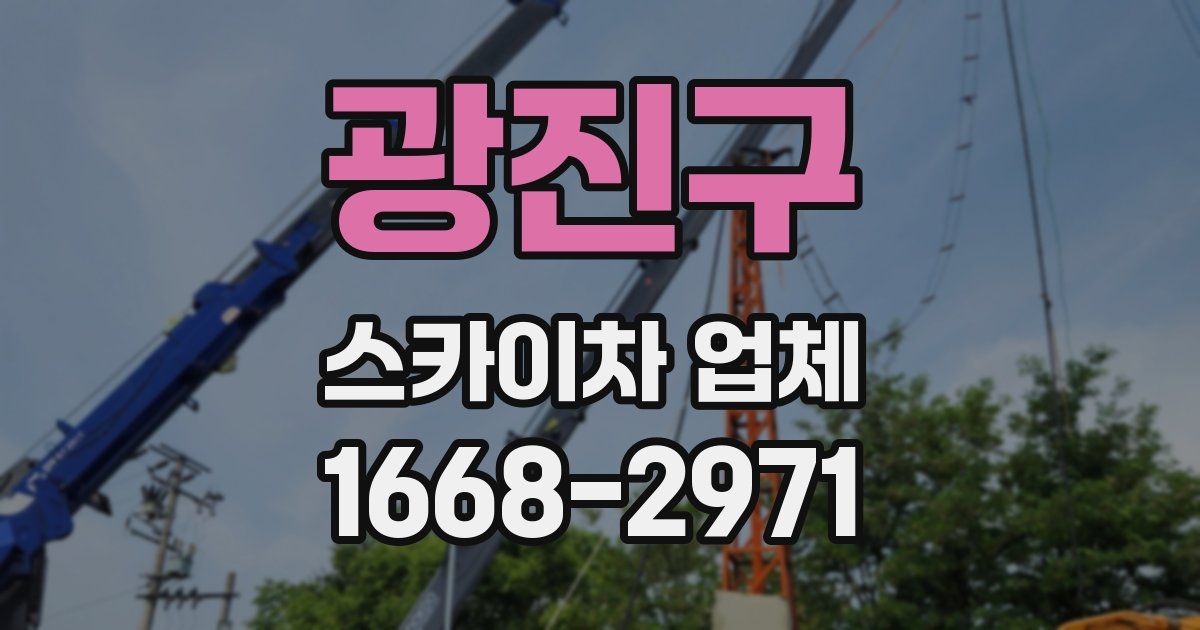 광진구 스카이차 업체