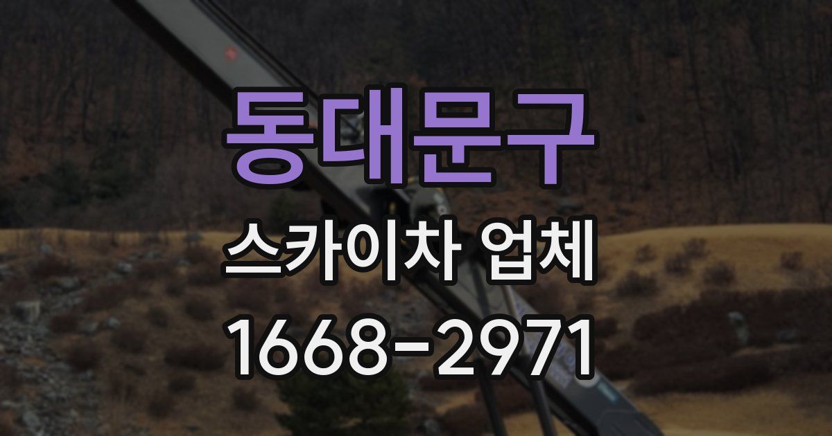 동대문구 스카이차 업체
