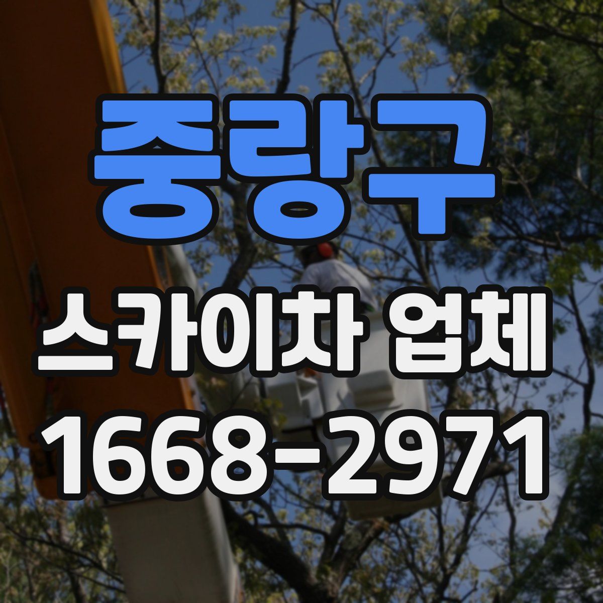 중랑구 스카이차 업체