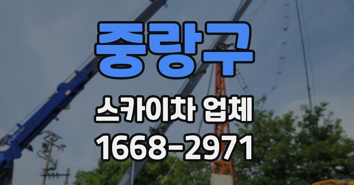 중랑구 스카이차 업체