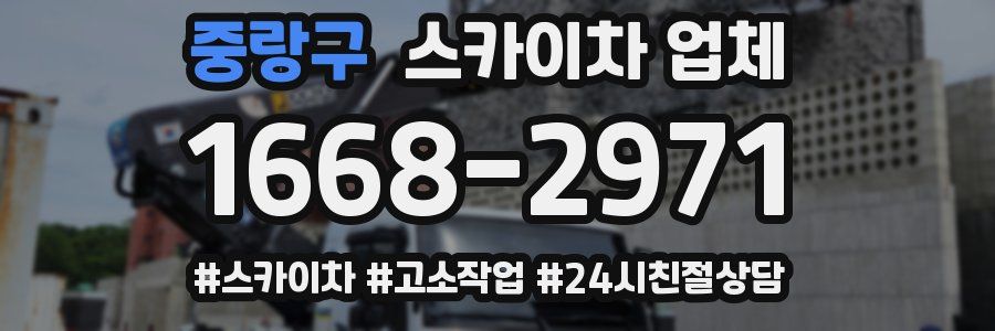 중랑구 스카이차 업체
