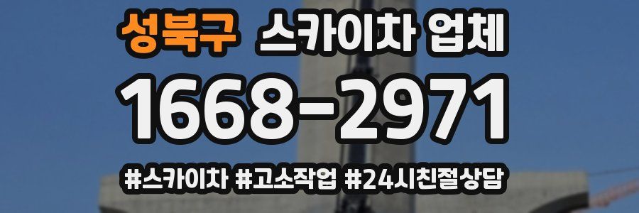성북구 스카이차 업체