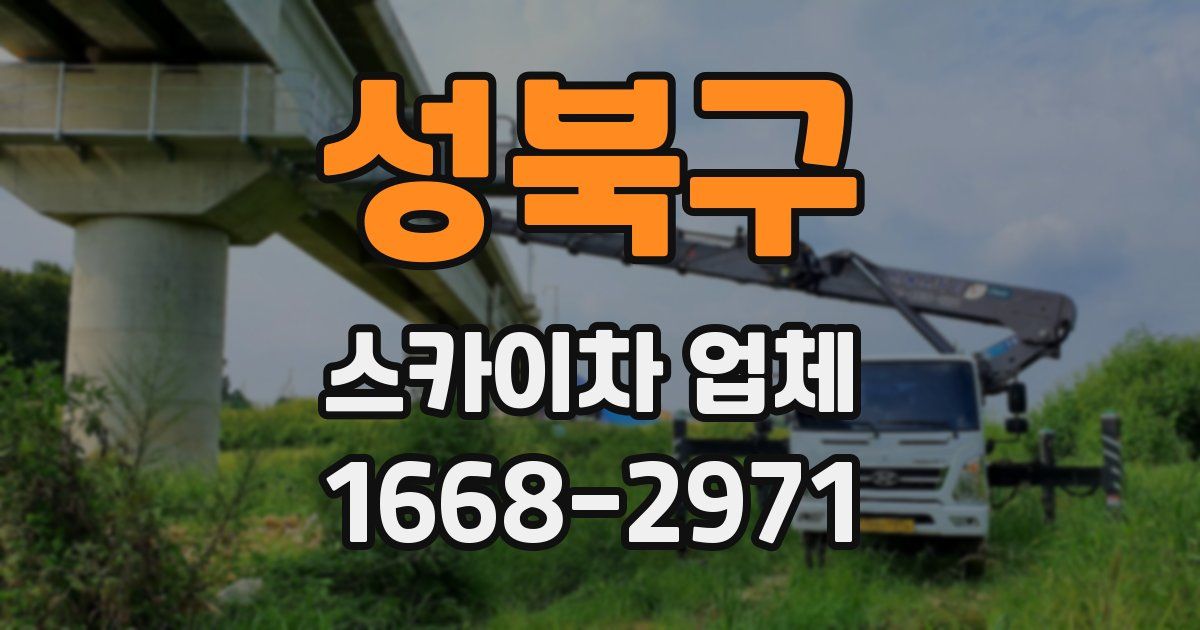 성북구 스카이차 업체