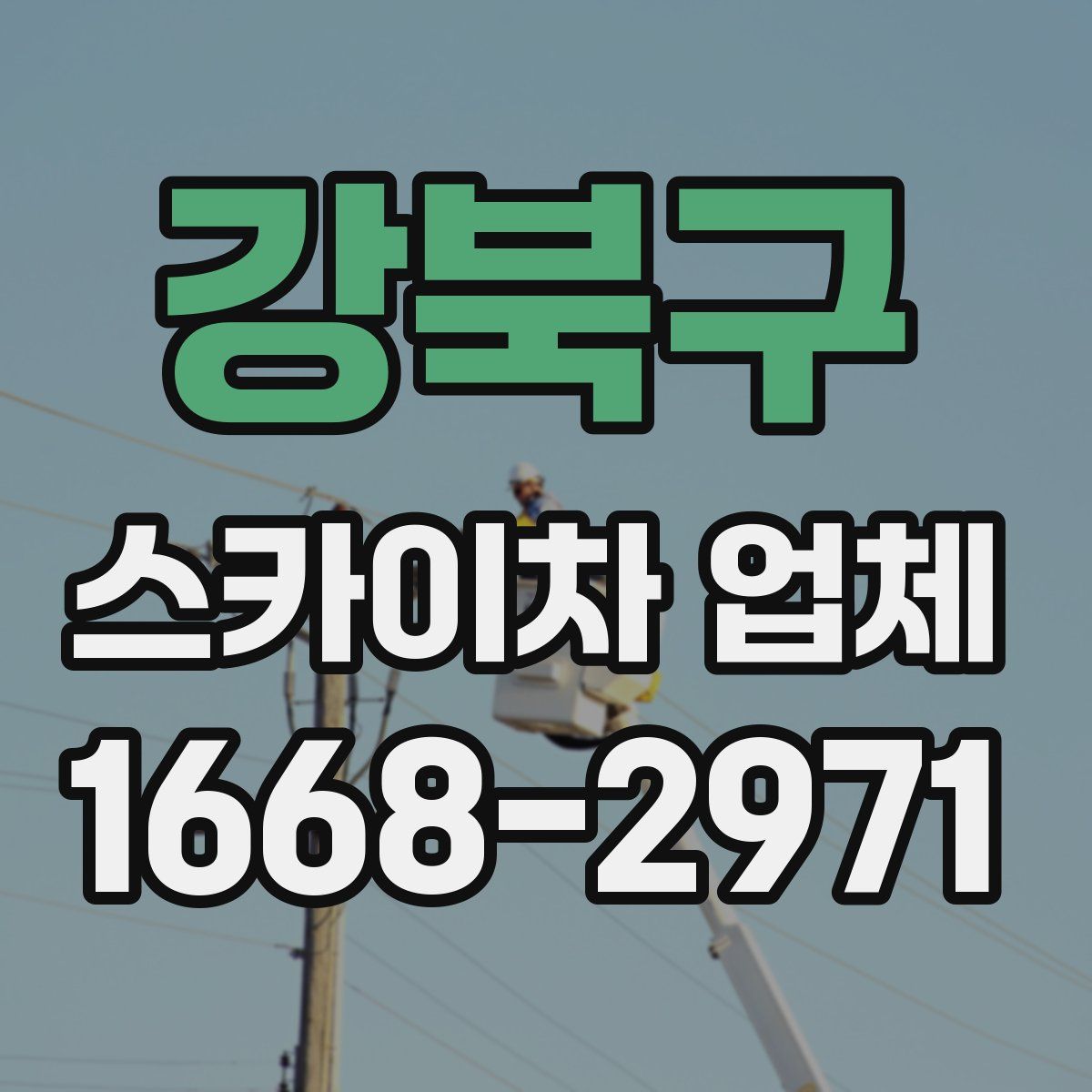 강북구 스카이차 업체