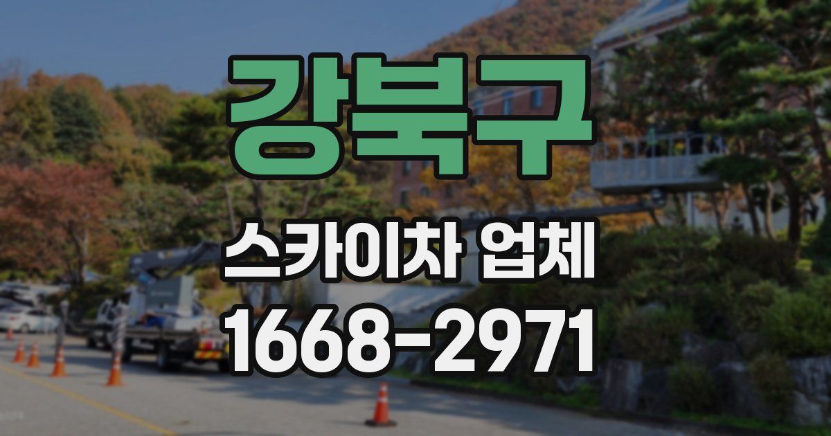 강북구 스카이차 업체