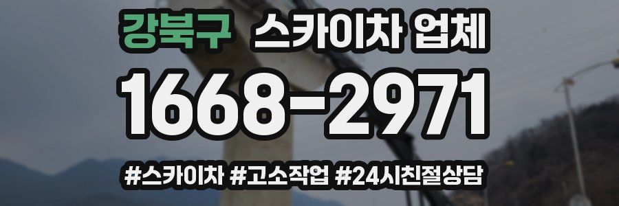 강북구 스카이차 업체