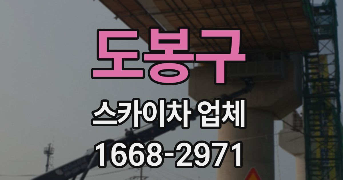 도봉구 스카이차 업체