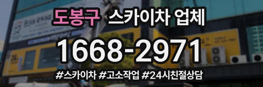 도봉구 스카이차 업체