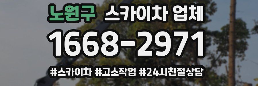 노원구 스카이차 업체