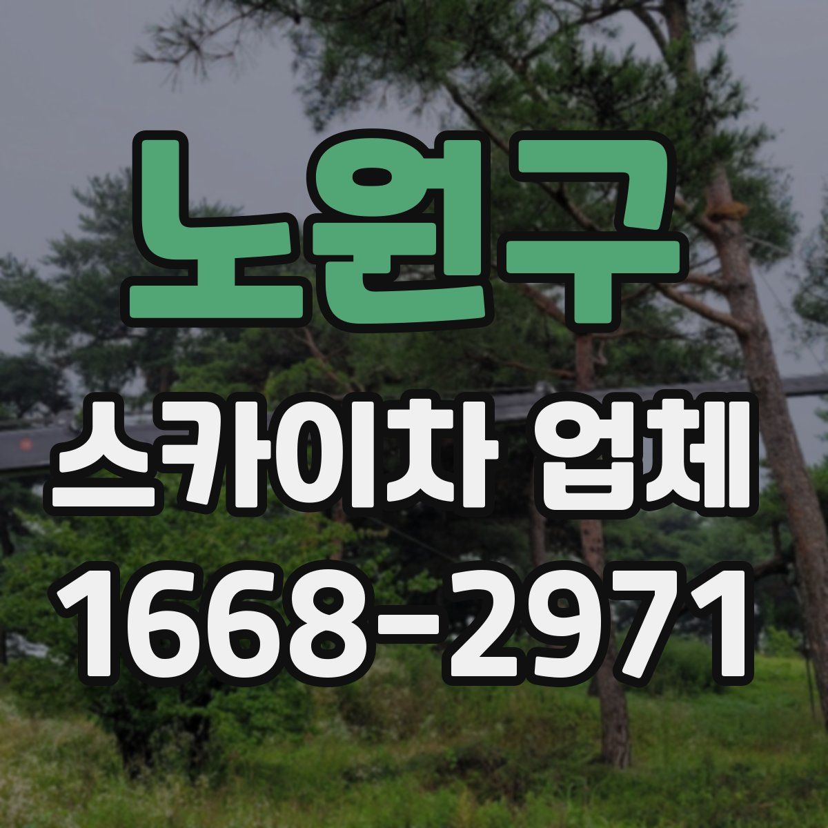노원구 스카이차 업체