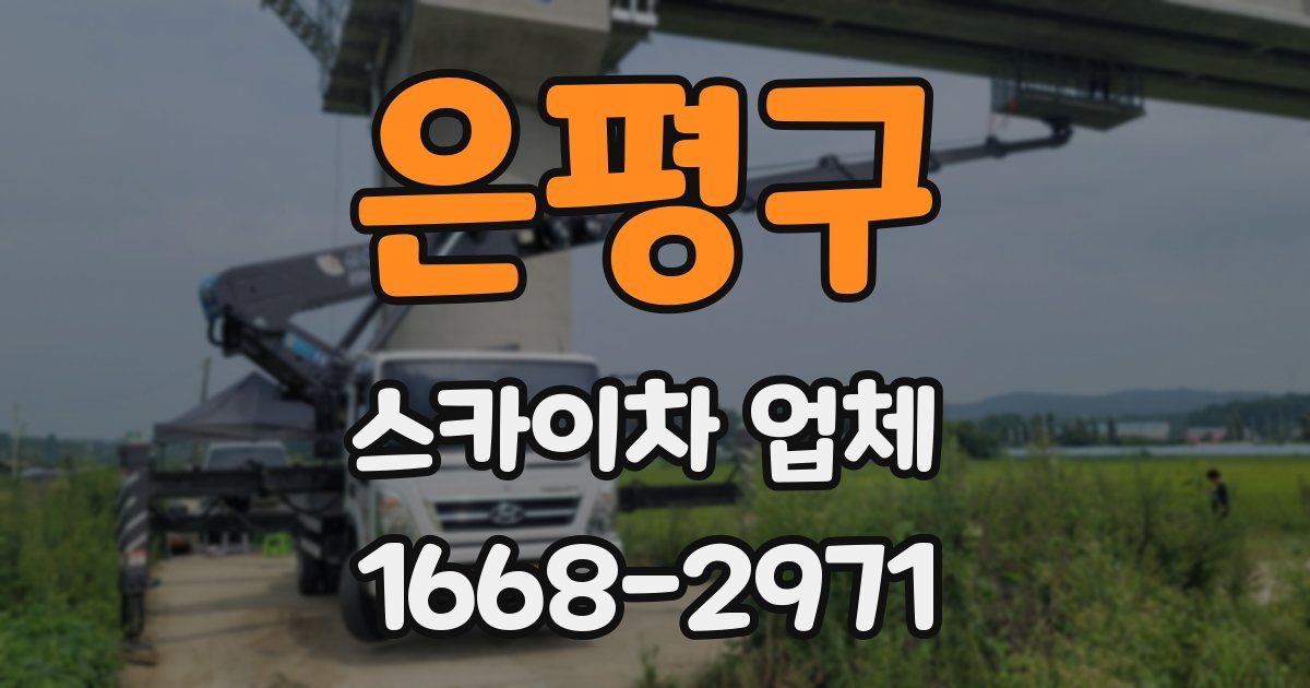 은평구 스카이차 업체