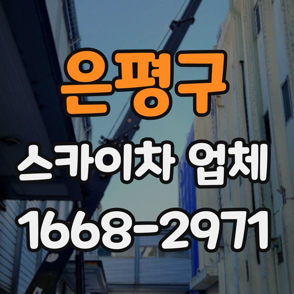 은평구 스카이차 업체