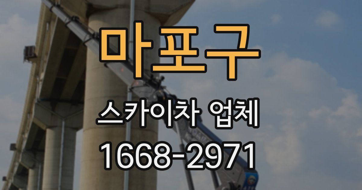 마포구 스카이차 업체
