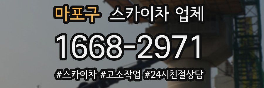 마포구 스카이차 업체