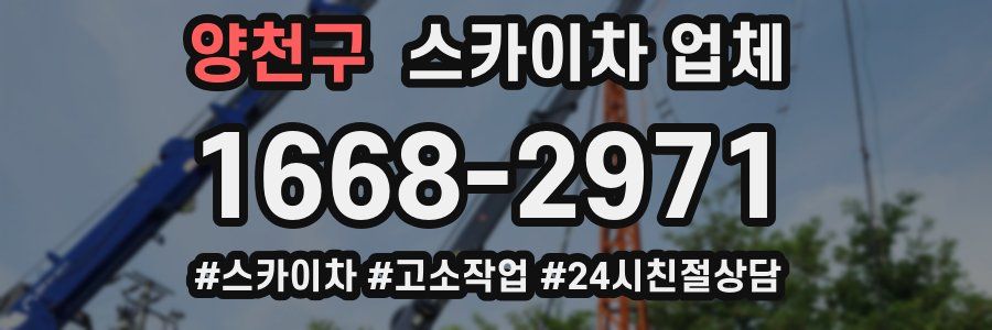 양천구 스카이차 업체