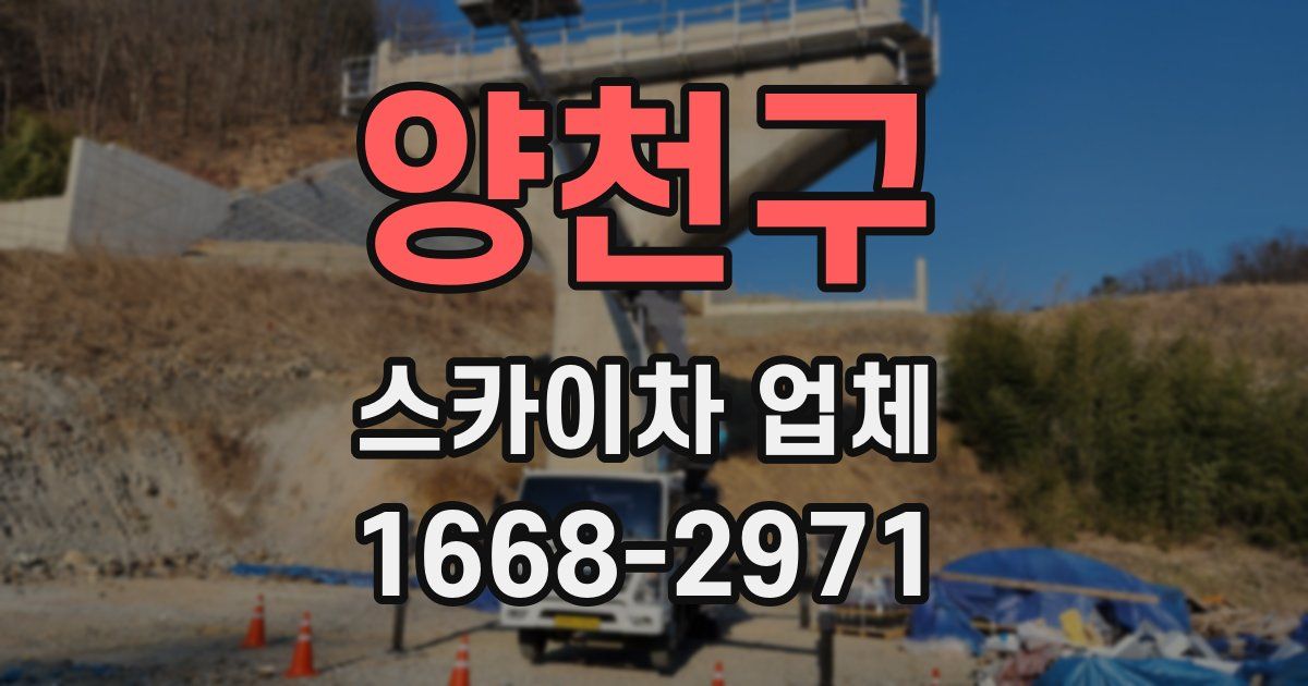 양천구 스카이차 업체