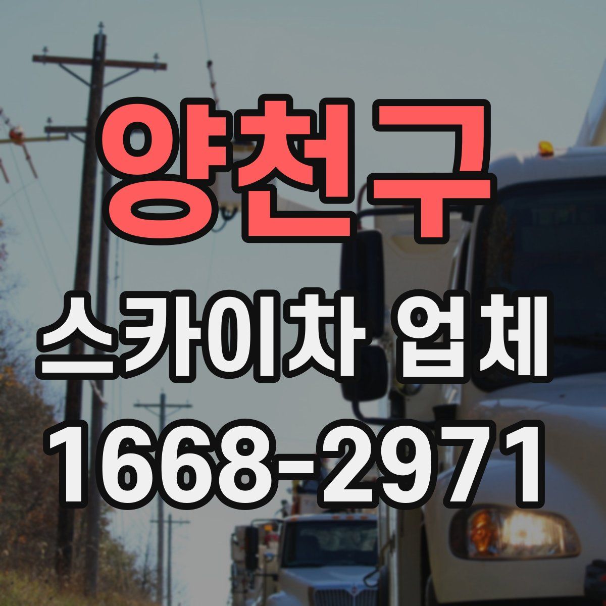양천구 스카이차 업체