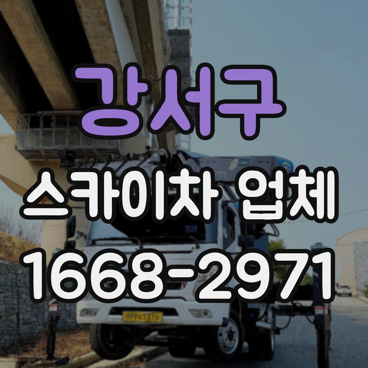 강서구 스카이차 업체