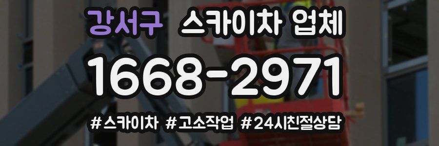 강서구 스카이차 업체