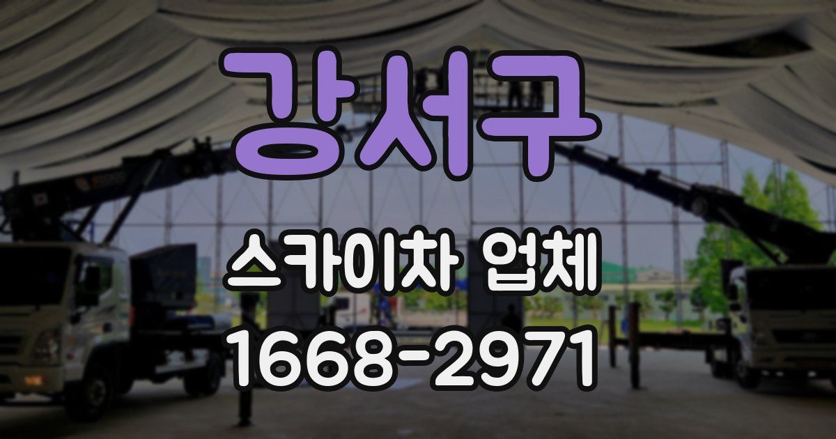 강서구 스카이차 업체