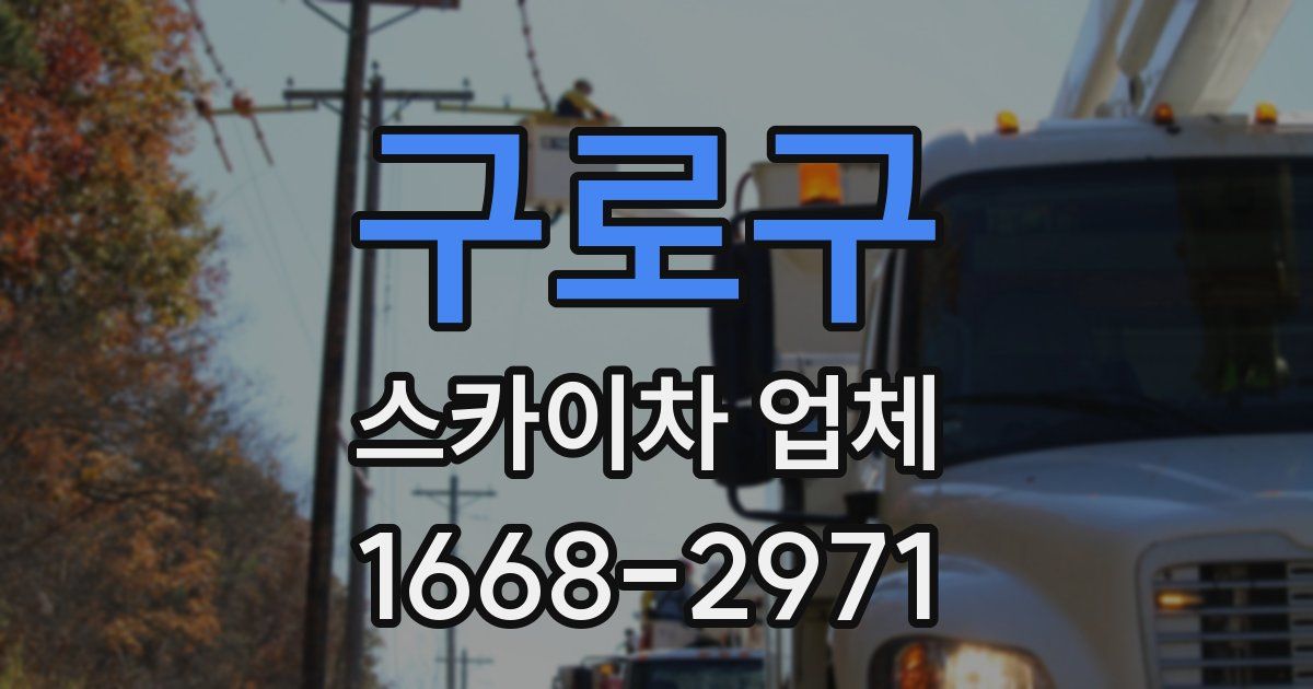 구로구 스카이차 업체