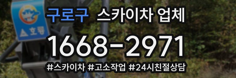 구로구 스카이차 업체