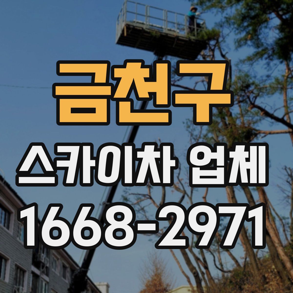금천구 스카이차 업체